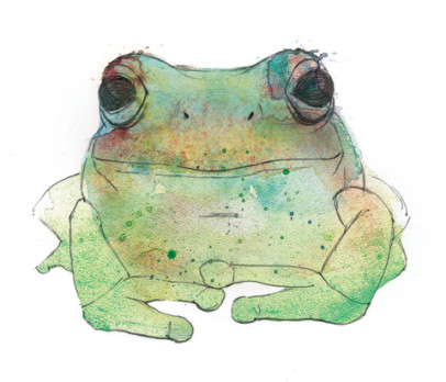 Fest La Frog