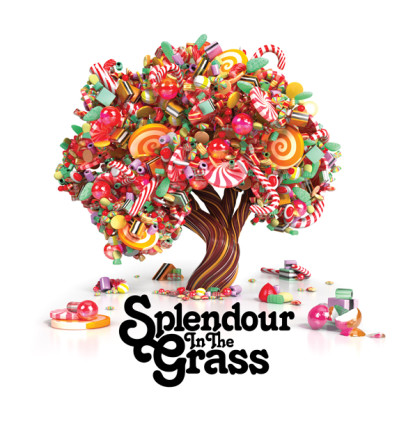 Splendour Tree