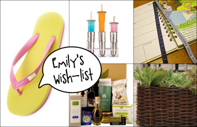 Emily's Wish List