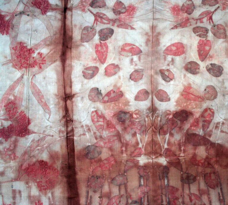 Natural Dye Symposium