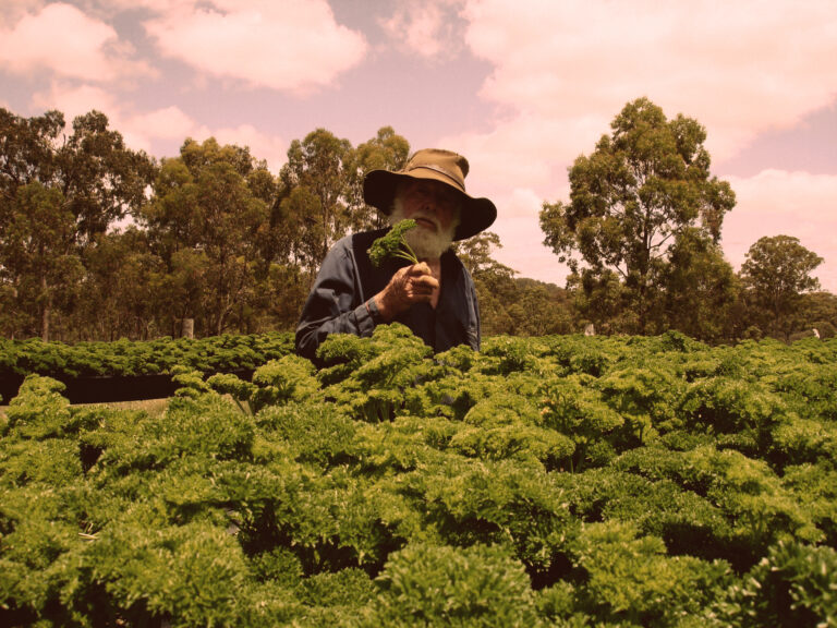 Seasonal Harvest Sessions