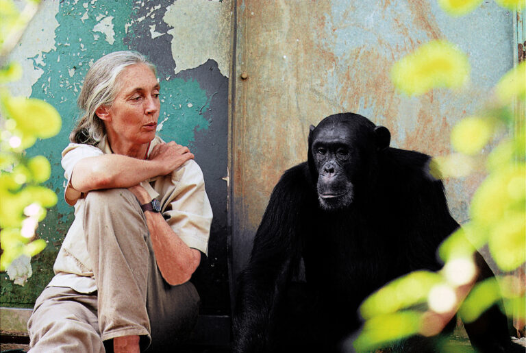 An Evening With Jane Goodall