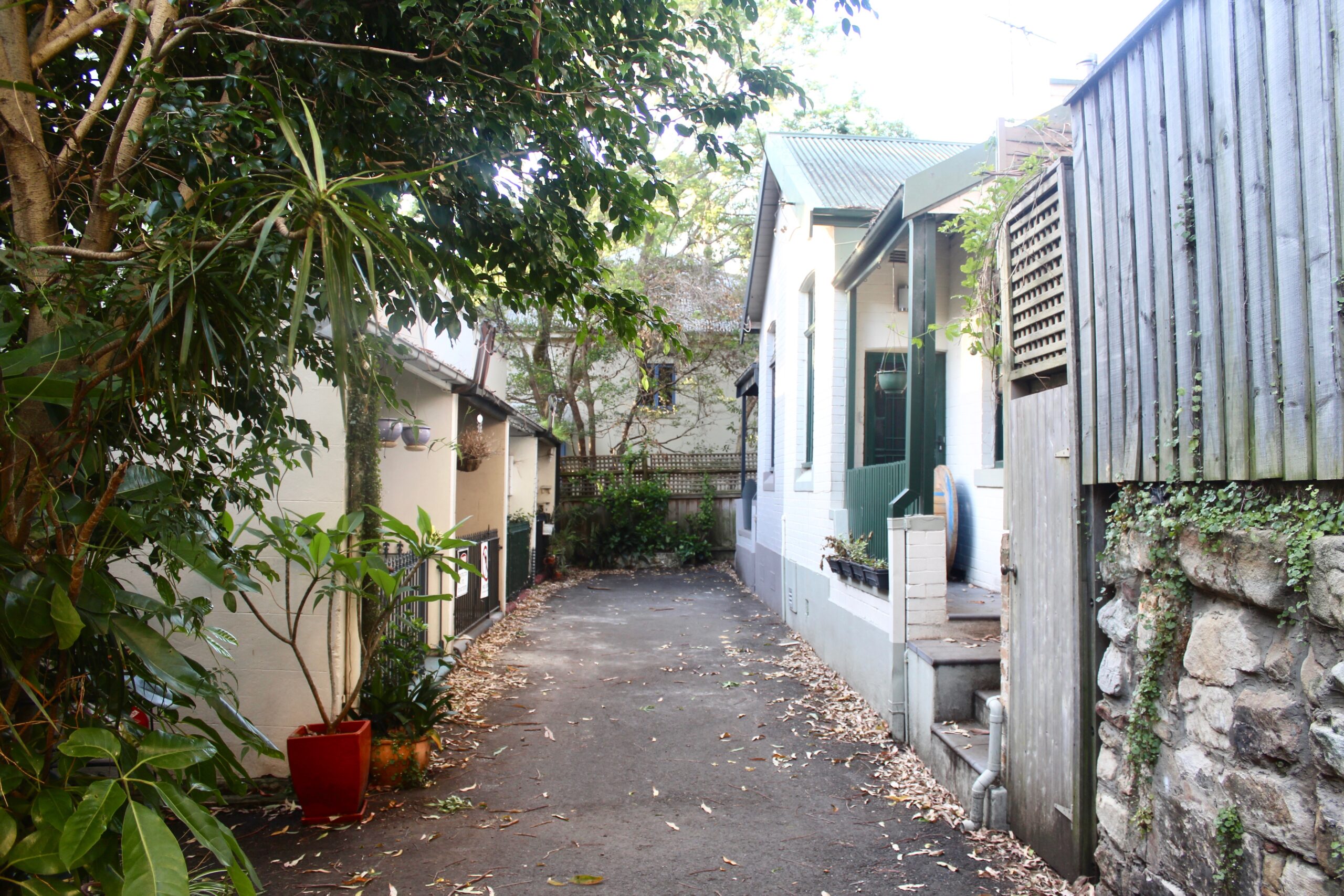 Bakers Lane - Peppermint