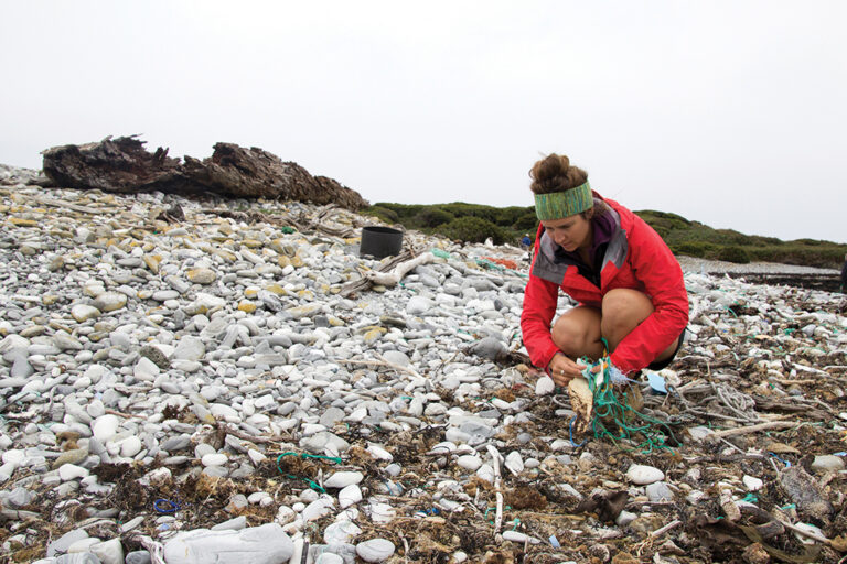 JESS LEITMANIS - PEPPERMINT