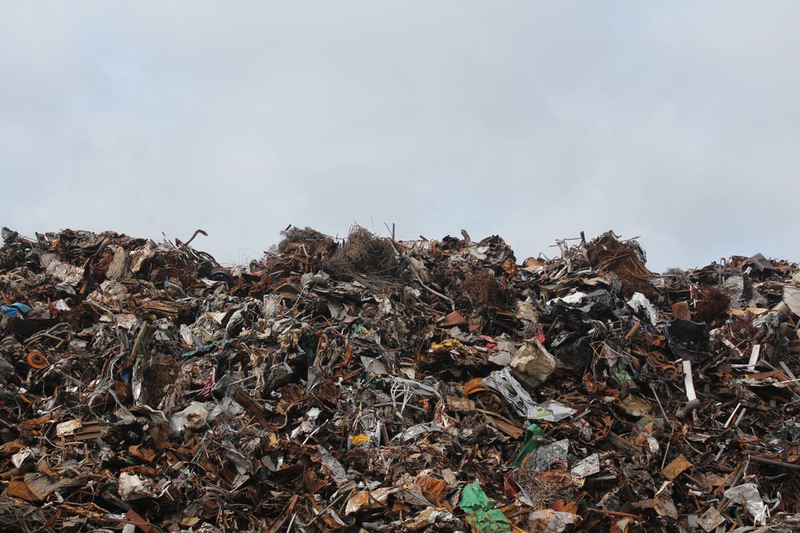 Banksia war on waste – ABC