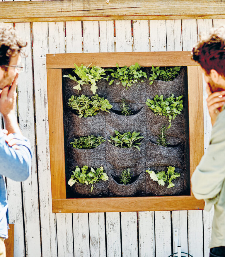 Peppermint make your own DIY garden wall planter