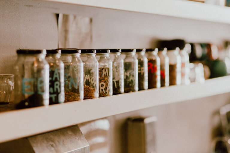 The Daily Rhythm // Egg of the Universe