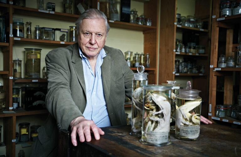 David Attenborough Peppermint Magazine Population Growth