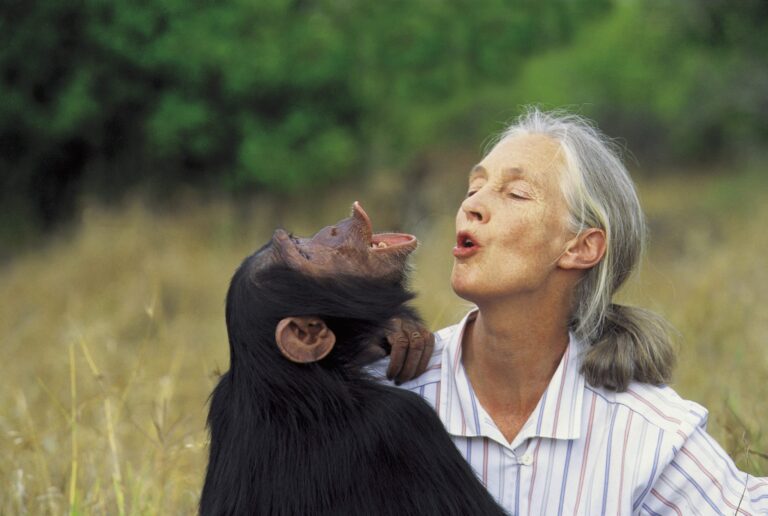 From the Archives // Jane Goodall