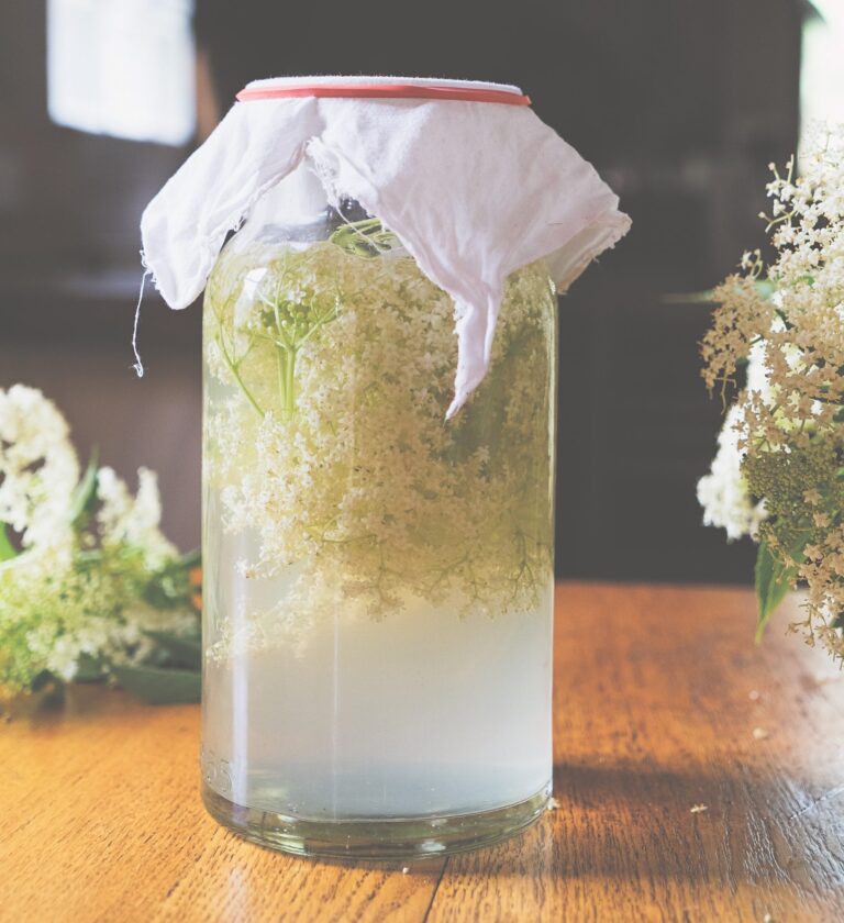 Milkwood - Elderflower Soda