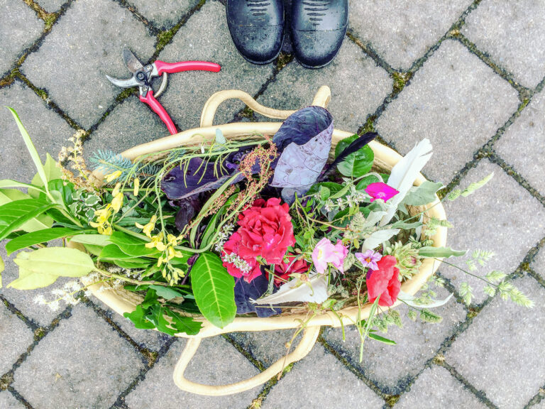 Make Your Own Natural Watercolours!