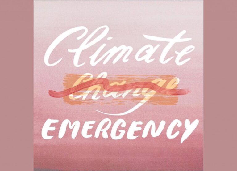 Climate Emergency Seljak brand