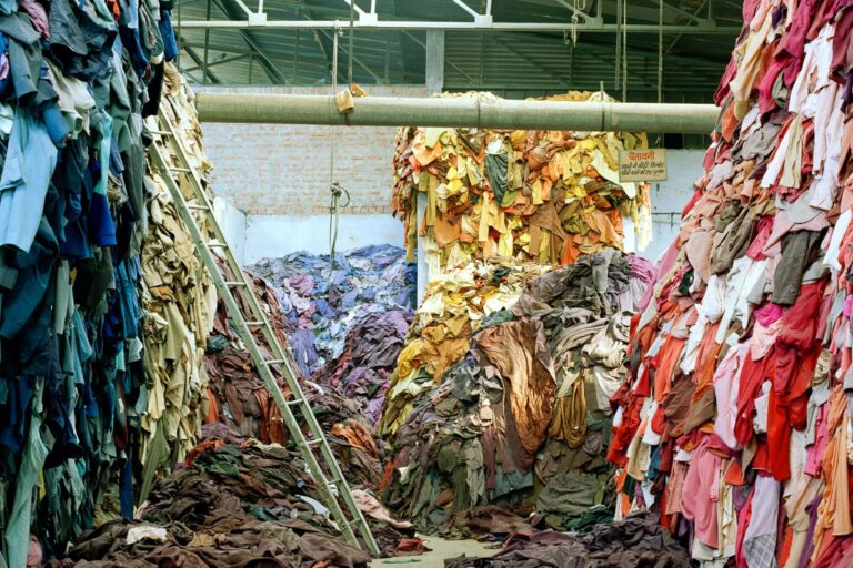 Tim Mitchell Fashion Revolution Index 2020