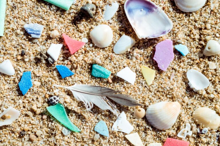 Microplastics Massive Problem