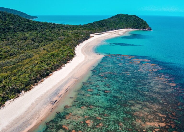 “Compromised and in Decline”: A Tragic Tipping Point for Our Reef