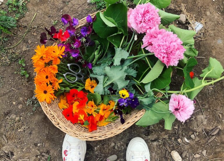 Festive Foraging: Pretty Up Your Platter With This Guide to Edible Botanicals