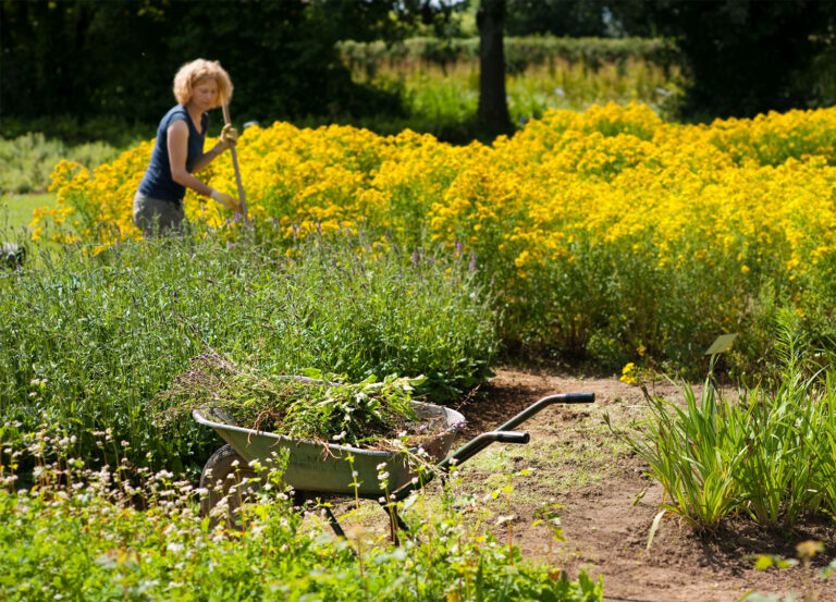 Weleda Has Embraced Plant Power from the Very Beginning