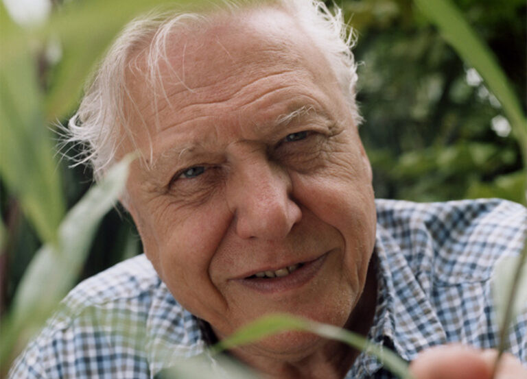 Lights, Camera, Climate Action: Press Play On These Documentaries Stat