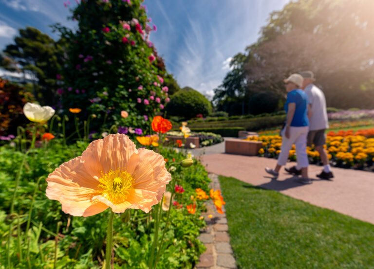 The Power of Flowers: Don’t Miss These Springtime Events in Brisbane