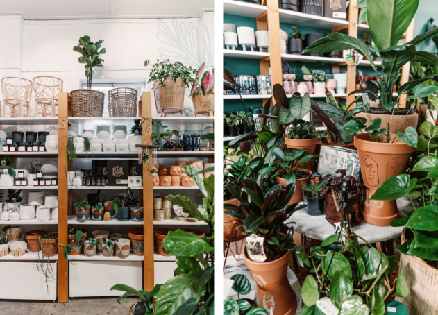 Introducing the Peppermint Sustainable Shopping Guides: Brisbane ...