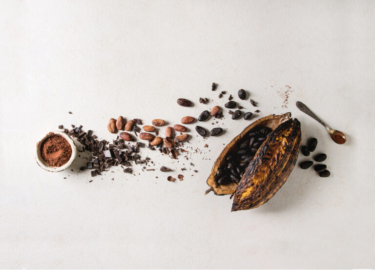 The Choc-ing Truth: Fairtrade Chocolate Brands to Make Snack Time Sweeter