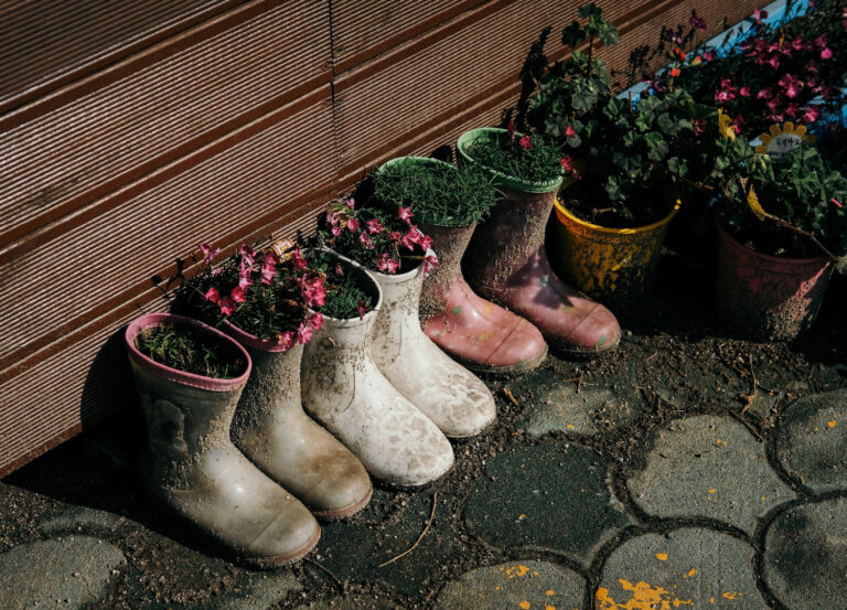 10 Things I’ve Learned From 10 Years of Gardening in Rentals