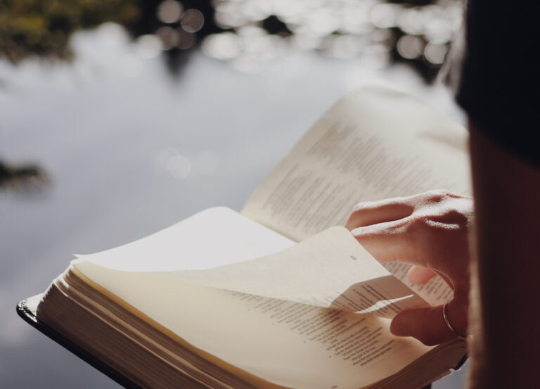 By the Book: Six Stitchy Reads for Sewing Fiends