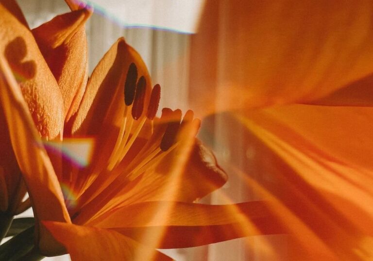 “Art and Fashion Will Forever Be Intertwined”: Silk Laundry’s Art Prize