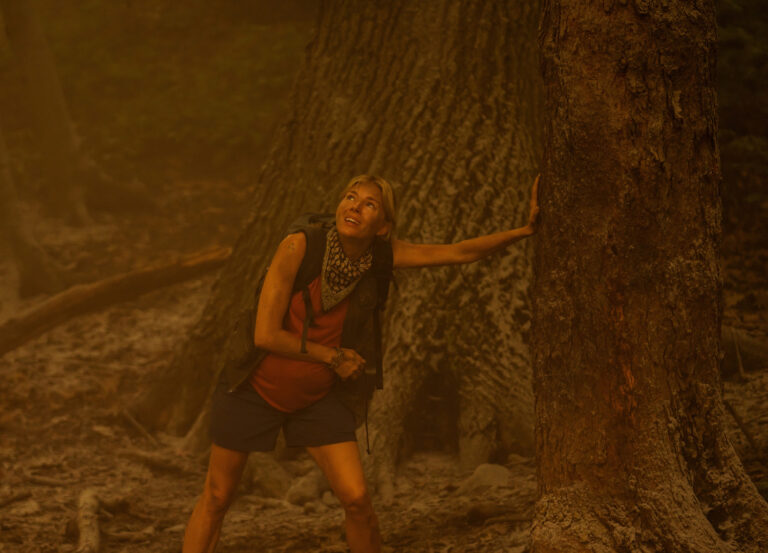 Lights, Camera, Climate Action: The A-Listers Working to Defend Our Planet