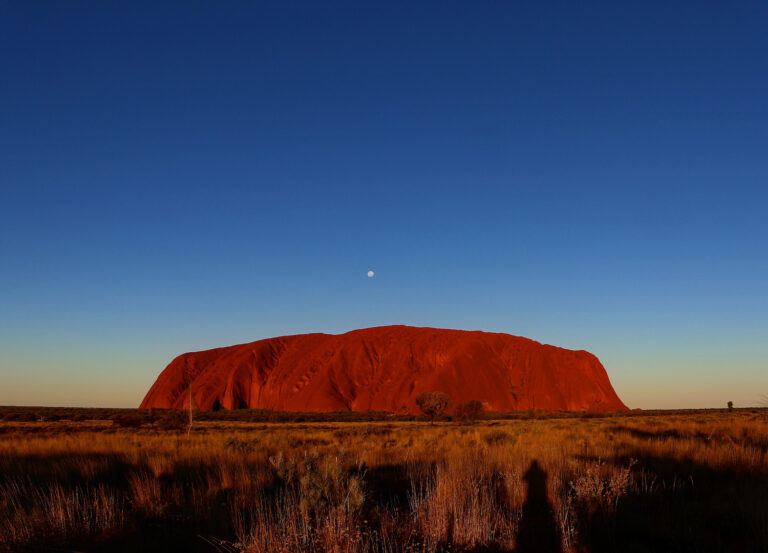 How to Practise Active Allyship in the Lead-Up to the Referendum