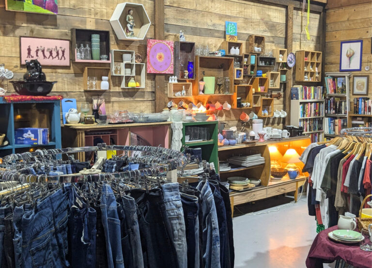 The Good Life: The Thrifter Who Created Her Own (Brilliant!) Thrift Shop