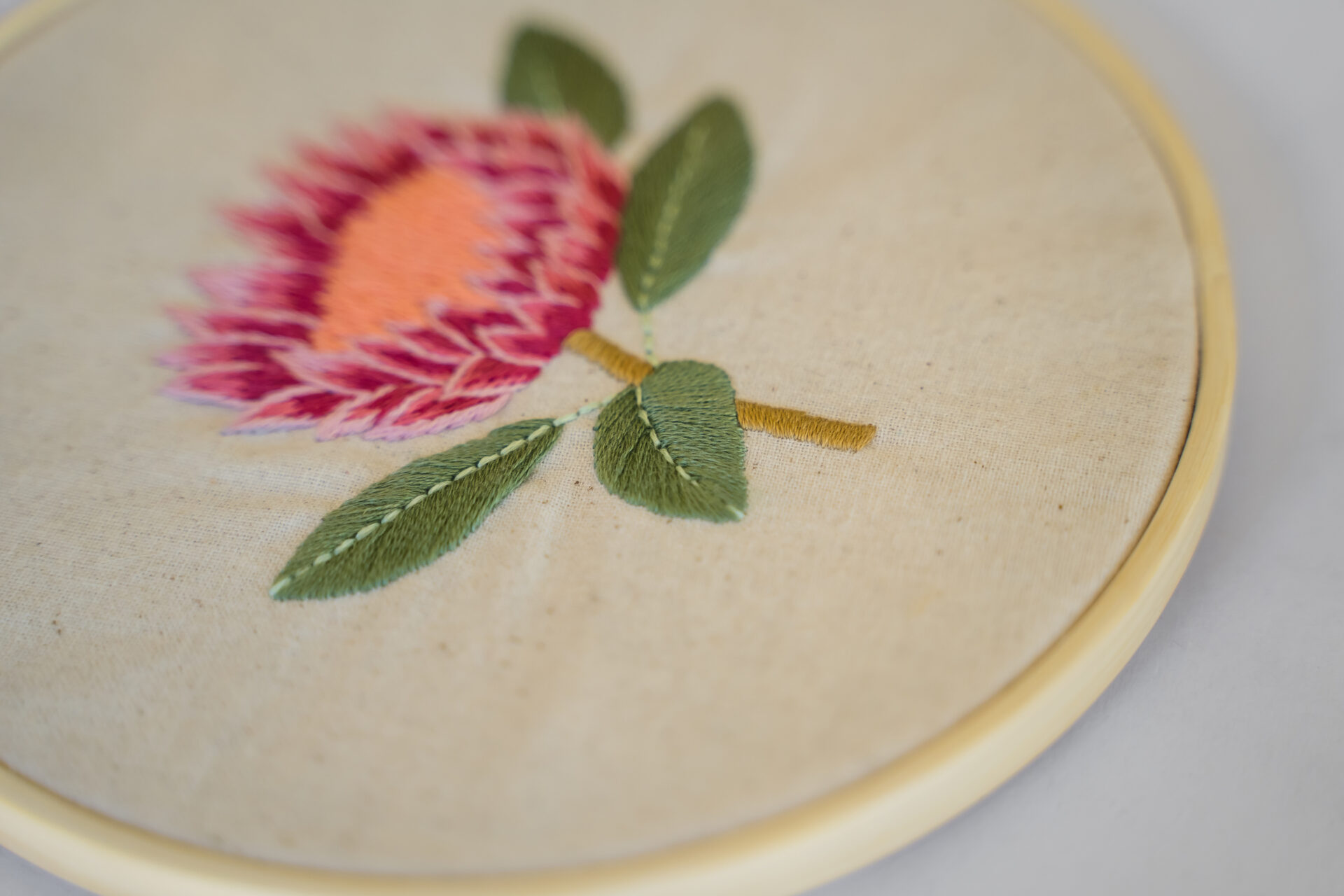 Peppermint Embroidery - DIY Project! - Image 5