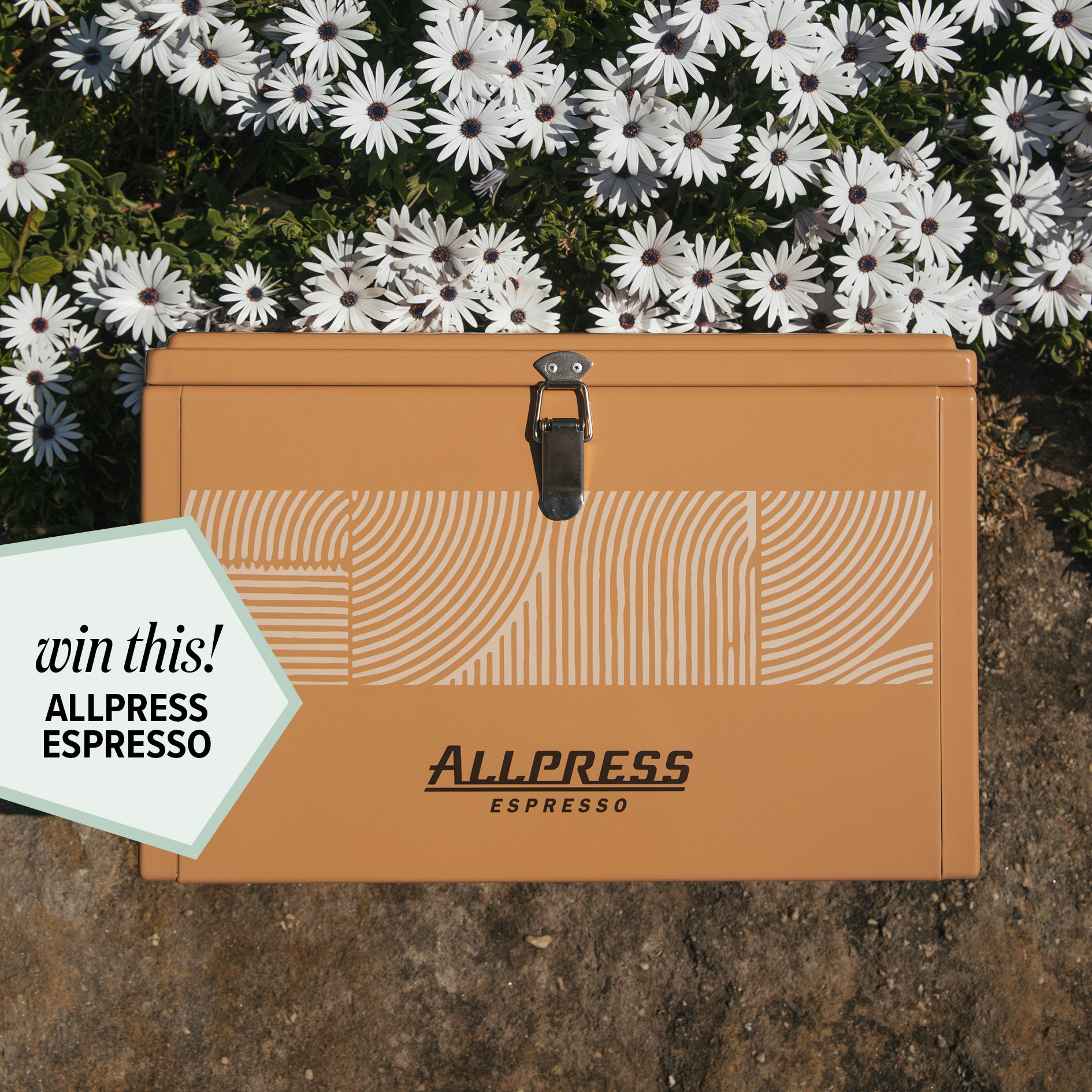 Peppermint Party – Celebrate 60 Issues, Friday 1 December 2023 - Image 17