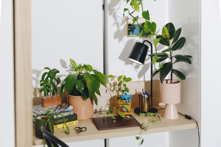 Fronds With Benefits: How to nurture your plants (and get loved right back!)