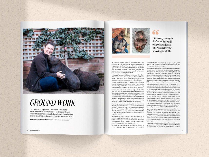 Issue 65 - Image 13