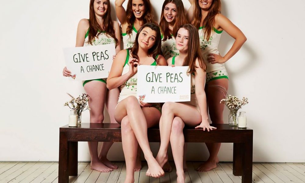 Give Peas a Chance - Thunderpants