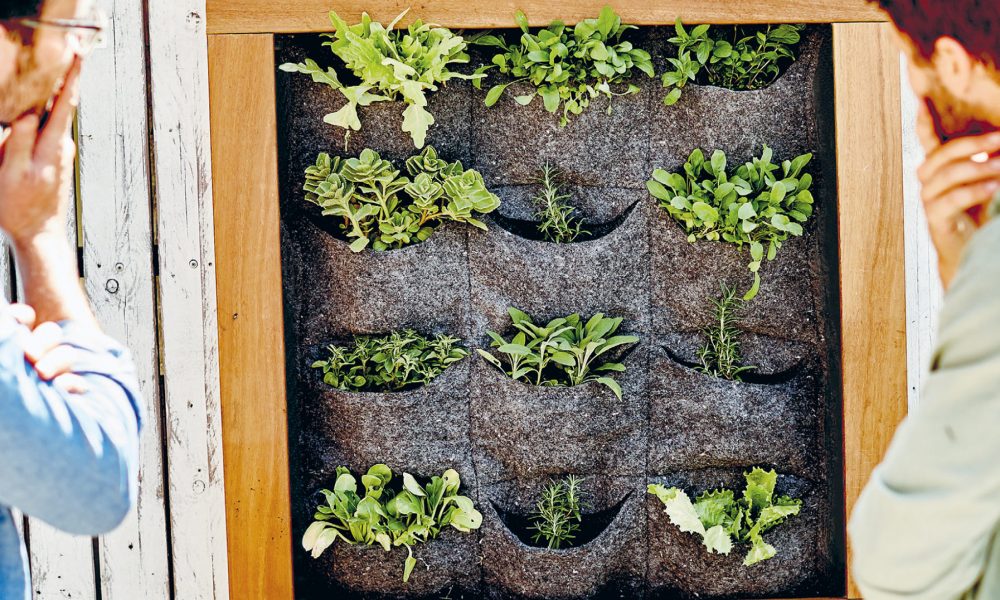 Peppermint make your own DIY garden wall planter