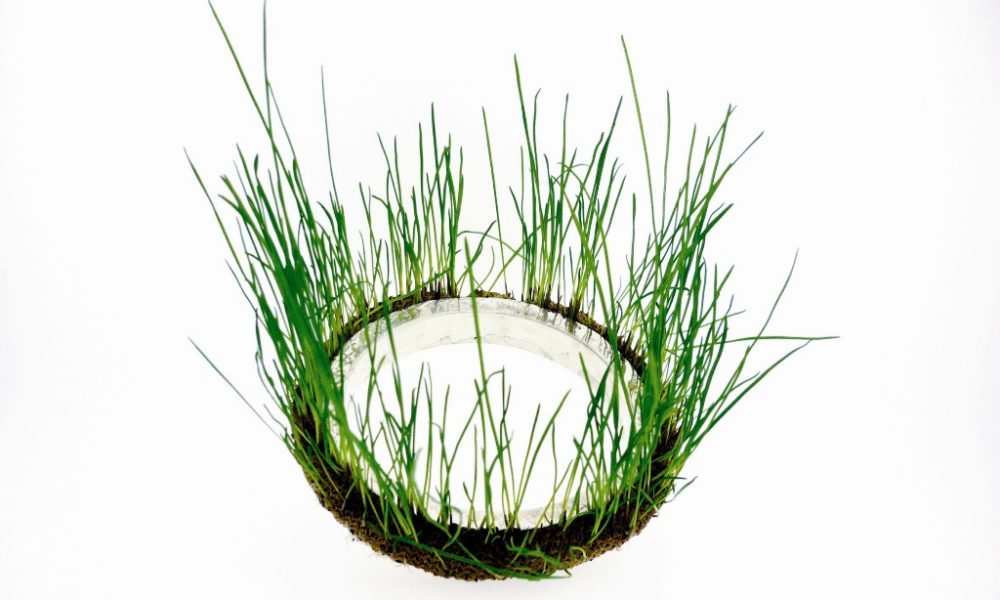 Image courtesy of artisan.org.au