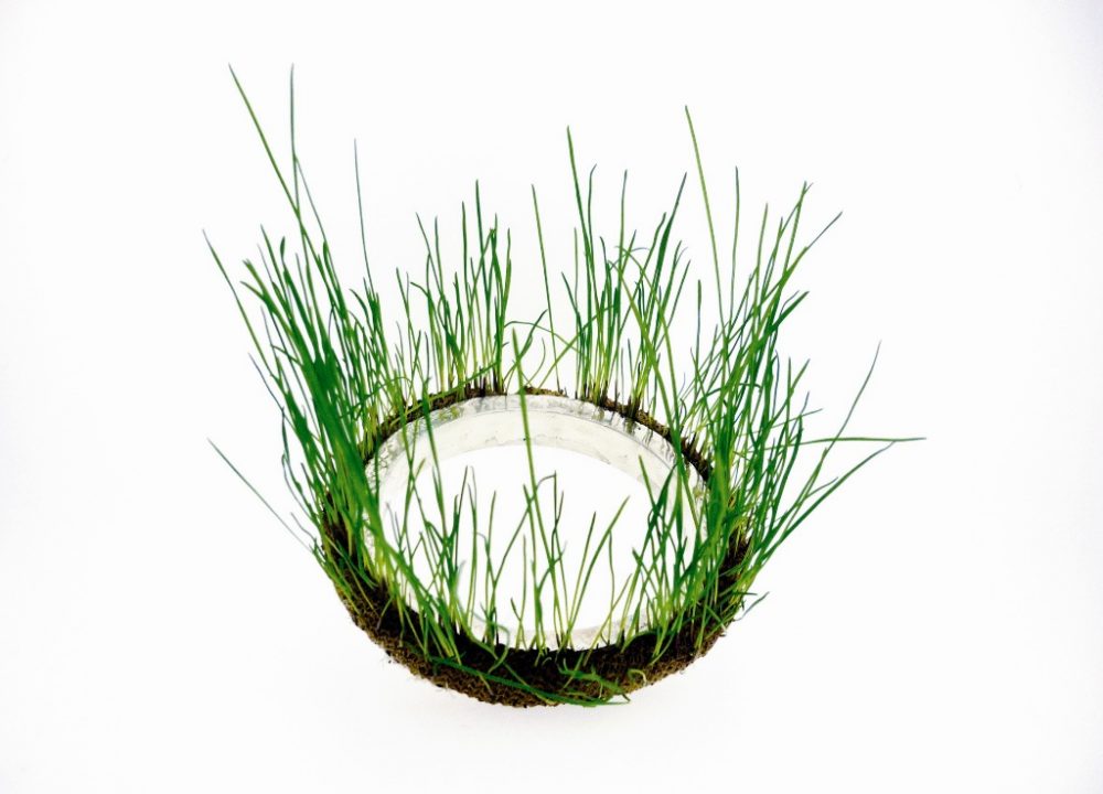 Image courtesy of artisan.org.au