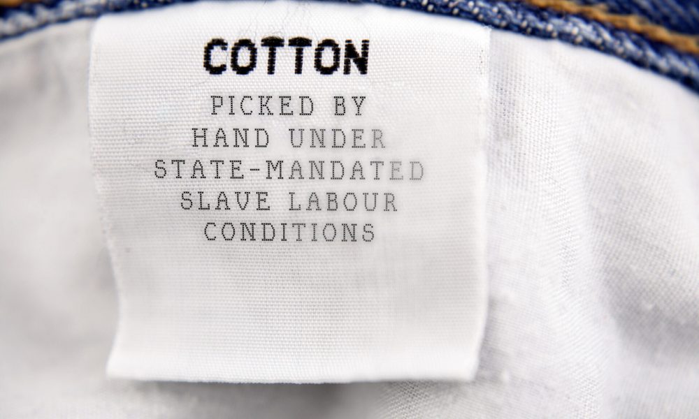 Cotton - Made In China - v2