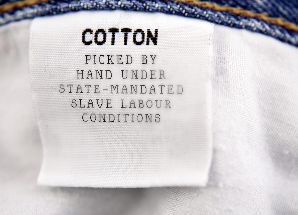 Cotton - Made In China - v2