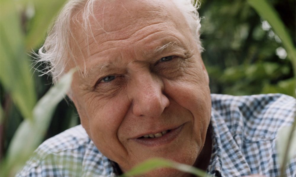 David Attenborough - Climate Documentaries