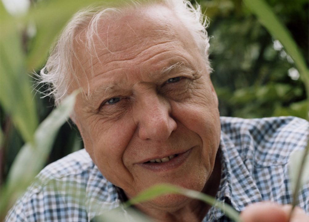 David Attenborough - Climate Documentaries