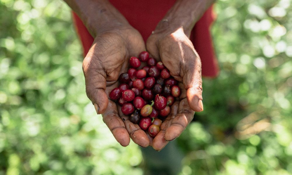 Fairtrade-Coffee-Josh-Griggs