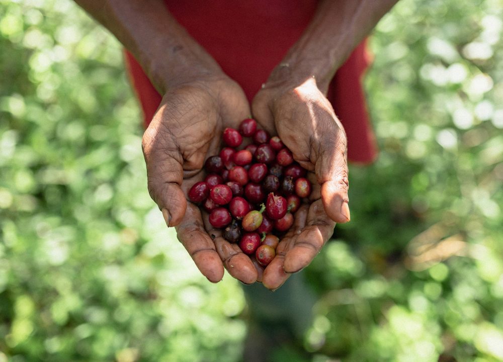 Fairtrade-Coffee-Josh-Griggs