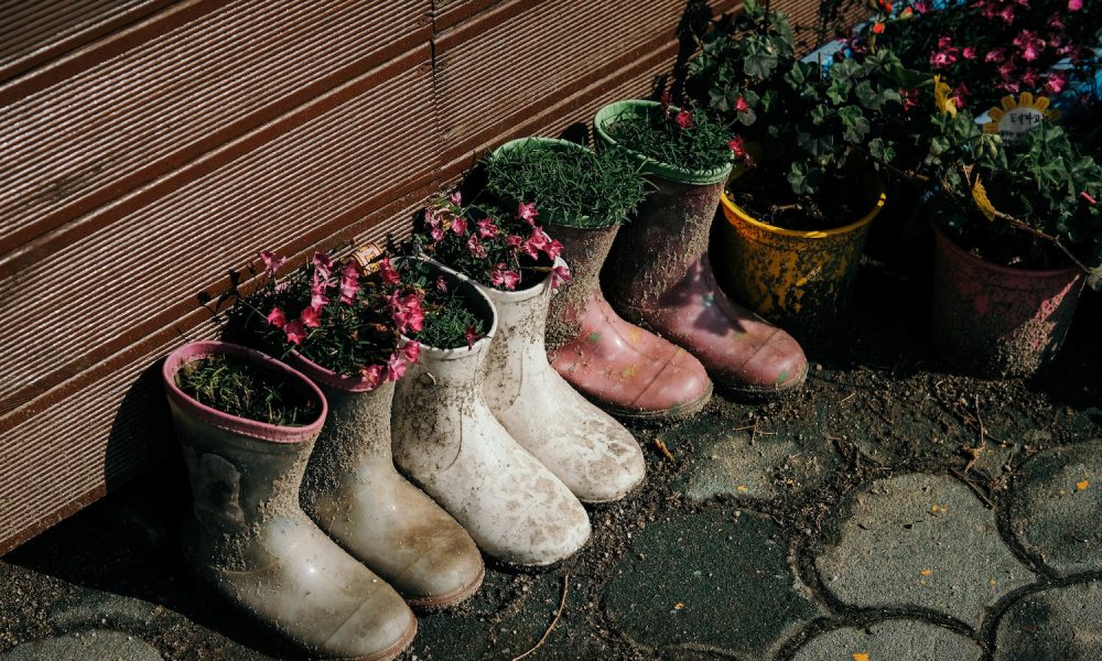 Gardening-In-A-Rental-4