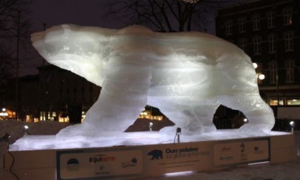 ice bear (toronto)