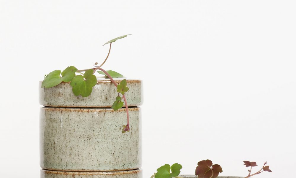 image courtesy janeheng.com