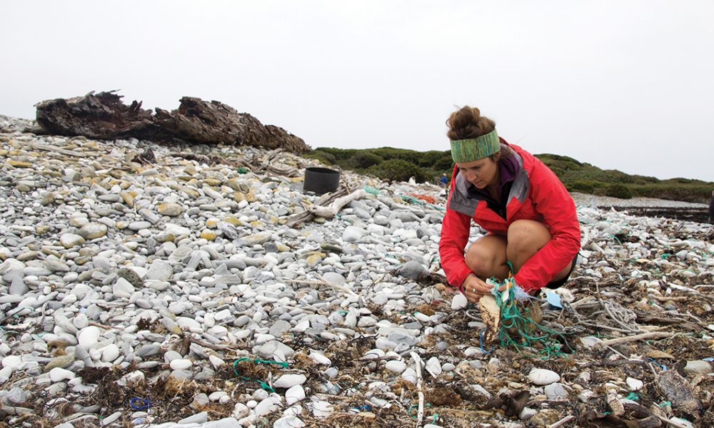 JESS LEITMANIS - PEPPERMINT