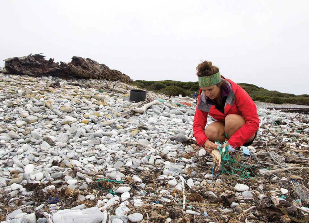 JESS LEITMANIS - PEPPERMINT